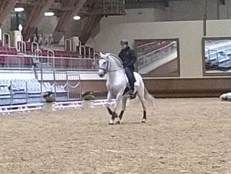 Appuyer au galop à droite